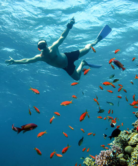 "Orange Oasis: Snorkeling Expedition to Paradise"