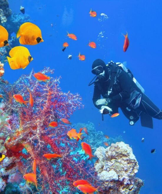 Golden Depths: Luxury Diving Expedition in Hurghada