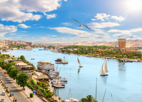 "Aswan Souq Sojourn: A Hantour Odyssey"