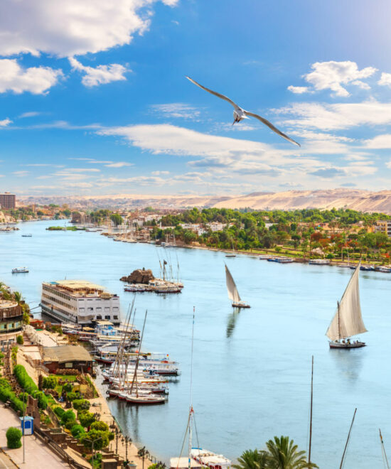 "Aswan Souq Sojourn: A Hantour Odyssey"