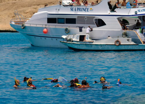 "Tropical Bliss: Giftun Island Snorkeling Escape"