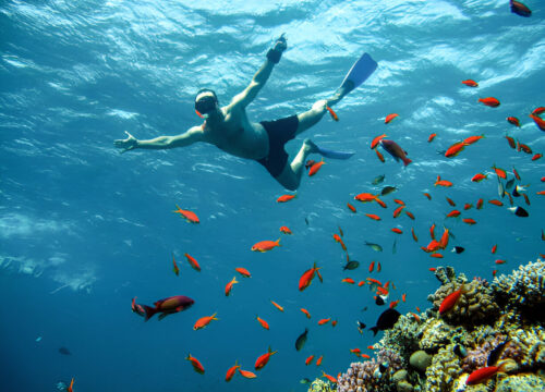 "Orange Oasis: Snorkeling Expedition to Paradise"